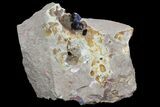 Large, Vibrant Azurite Crystals In Matrix - Morocco #74687-1